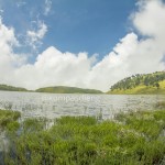 Pesona Danau Dringo Dieng