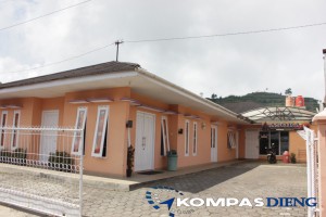 penginapan asoka dieng